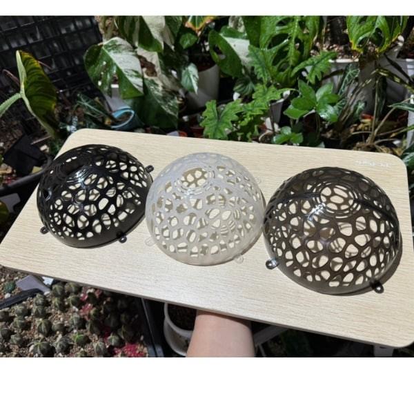 上鹿神球 - 圖 4