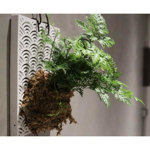 和風植床板 - 圖 3