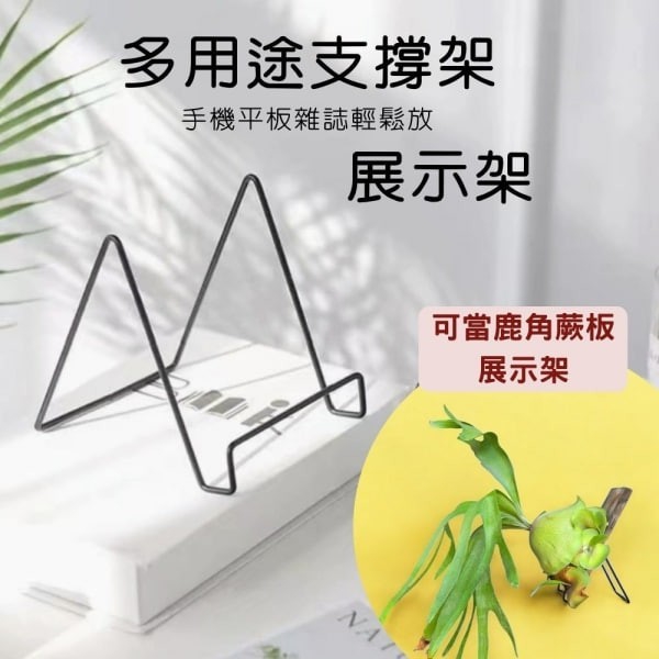 多用途支架 展示架 鹿角蕨展示架