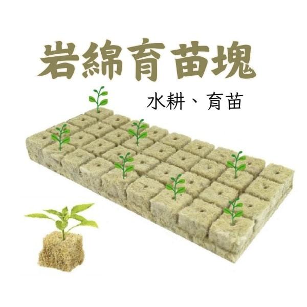 岩綿育苗塊