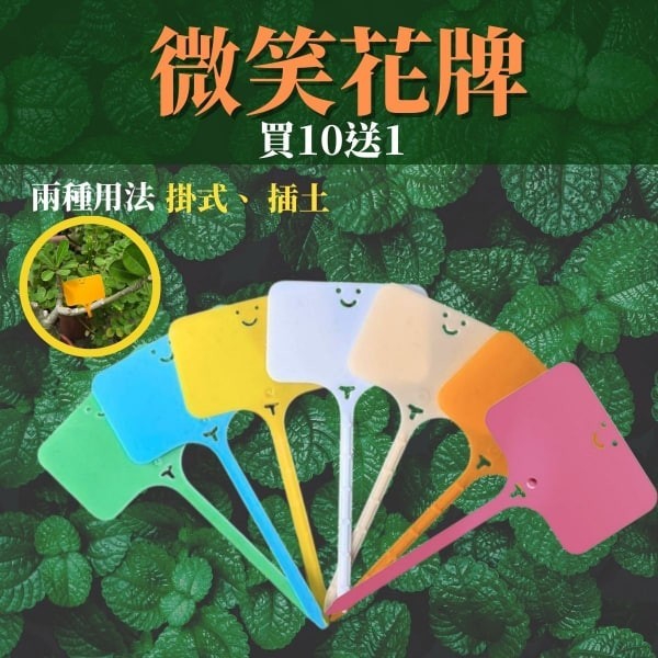 微笑花牌 買10送1 - 圖 2