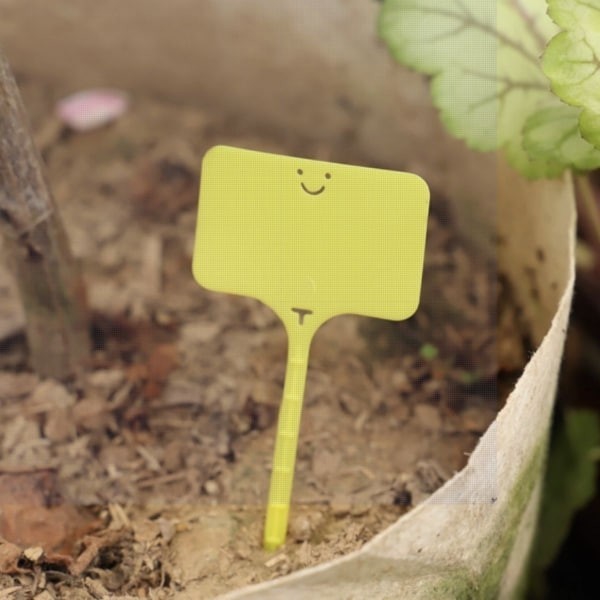 微笑花牌 買10送1 - 圖 3