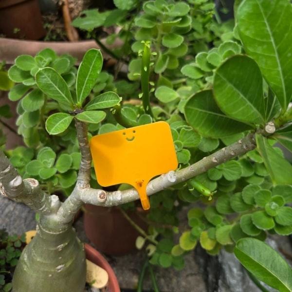 微笑花牌 買10送1 - 圖 4