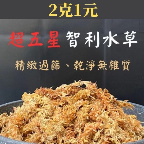 智利水草 水苔 2克1元