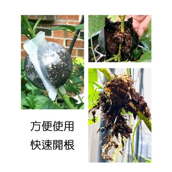 植物高壓球 - 圖 3