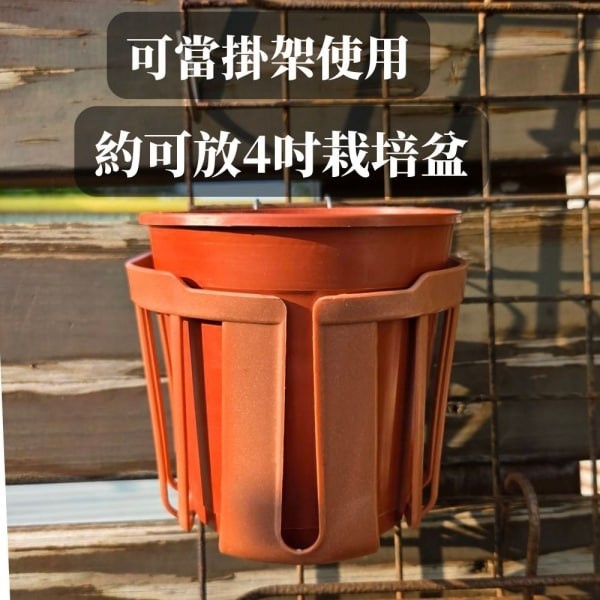 水苔掛籃 鹿角蕨快速種植 - 圖 5