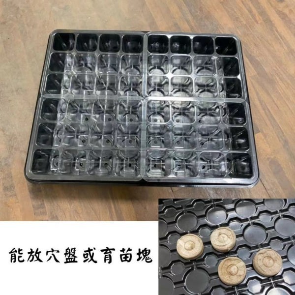 育苗盒 48孔 - 圖 3