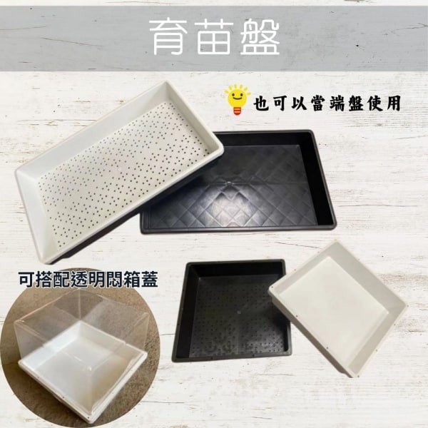 育苗盤