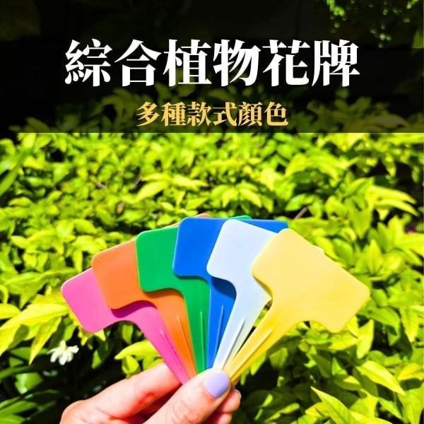 造型植物花牌 (20入/100入) T型花牌 小T型花牌 愛