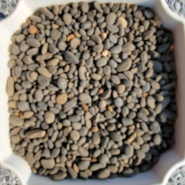 霧面黑膽石 特黑扁石 造景石